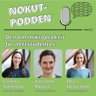 episode Den om mikropraksis for nettstudenter artwork