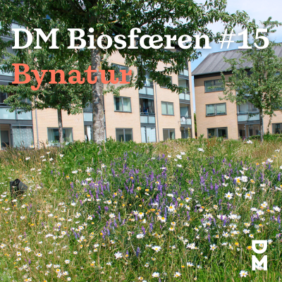 episode DM Biosfæren: Hvorfor er bynaturen vigtig? artwork