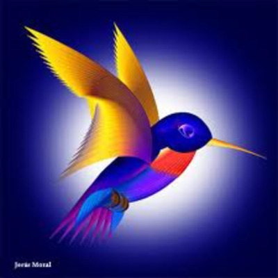 episode La Fabula del Colibrí artwork
