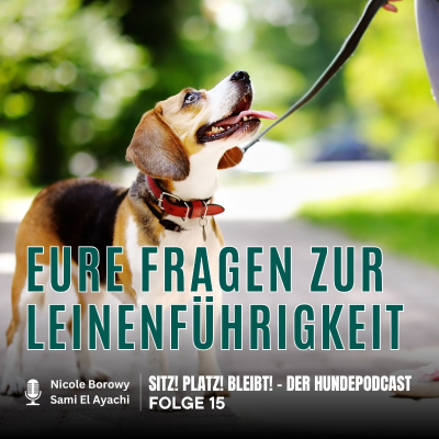 episode #15 Eure Fragen zur Leinenführigkeit artwork