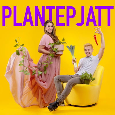 PlantePjatt