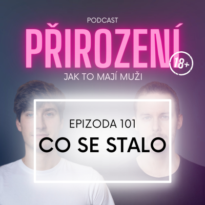 episode 101 - Co se stalo artwork