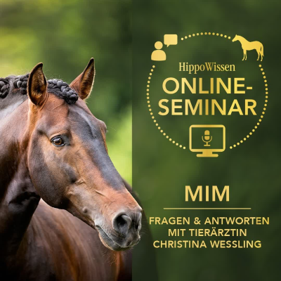 episode HippoPod: MIM - Fragen und Anworten mit Tierärztin Christina Wessling artwork