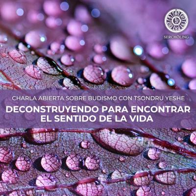 episode DECONSTRUYENDO PARA ENCONTRAR EL SENTIDO DE LA VIDA artwork