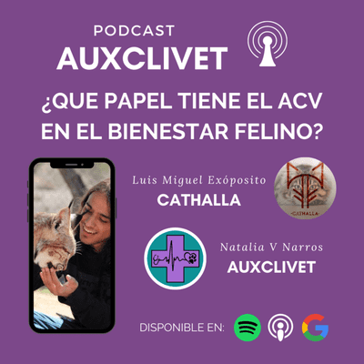 episode ¿QUÉ PAPEL TIENE EL ACV EN EL BIENESTAR CLÍNICO FELINO? artwork