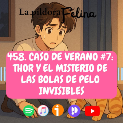 episode 458. Caso de verano #7: Thor y el misterio de las bolas de pelo invisibles artwork