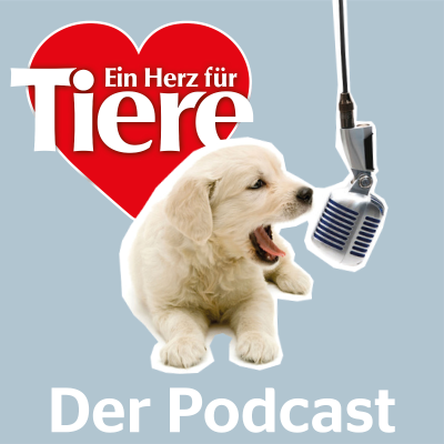 episode Episode 93: Hunde-Oldies richtig füttern artwork