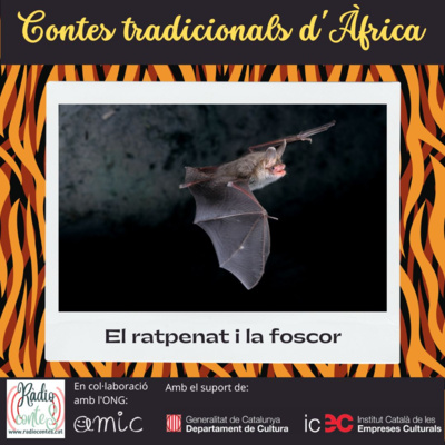 Contes africans: El ratpenat i la foscor