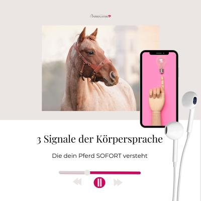 episode 3 Signale der Körpersprache, die dein Pferd SOFORT versteht artwork