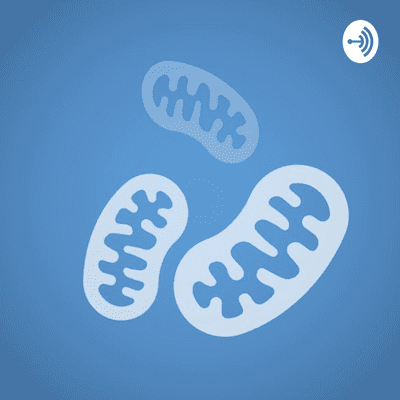 episode Conheça sobre produtor, consumidor e decompositor artwork
