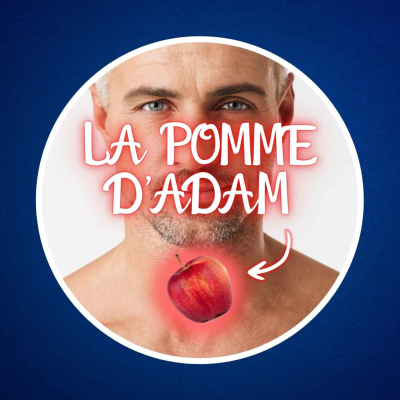 episode Pourquoi parle-t-on de "pomme d'Adam" ? 🍎 artwork