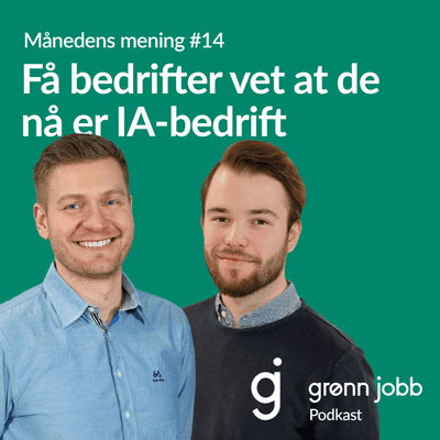 episode Månedens mening #14 - Få bedrifter vet at de nå er IA-bedrift artwork