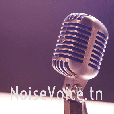 NoiseVoiceTN