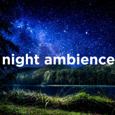 episode Night Ambience Sleep Sounds, Crickets, Frogs, Owls, Lake, Nature Sounds at Night for Sleep (2 Hours, Loopable) artwork