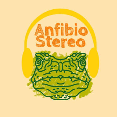 Anfibio Stereo