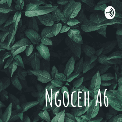 Ngoceh A6