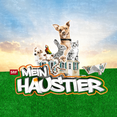 Mein Haustier HD