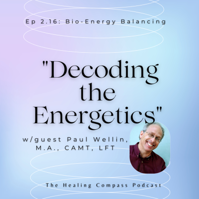 episode Bio-Energy Balancing: "Decoding the Energetics" w/guest Paul Wellin, M.A., CAMT, LFT artwork