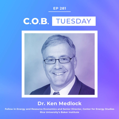 episode "The Senate Has The Ability To Think About Things In A More Rational Way" With Dr. Ken Medlock, Baker Institute artwork