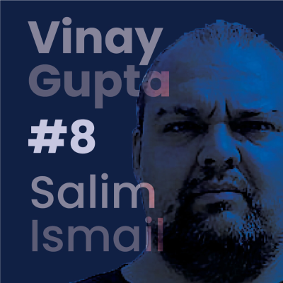 episode Vinay Gupta on Transforming Systemic Risk | The Salim Ismail Podcast #8 artwork
