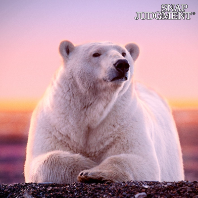 episode Not So Tiny Dancer - Snap Classic artwork