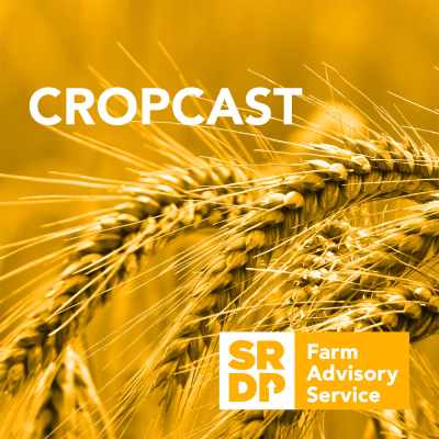 episode CropCast - Ergot artwork