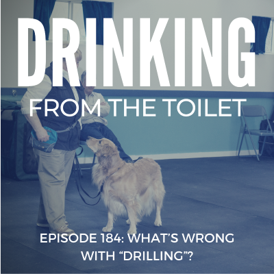 episode #184: What's Wrong with "Drilling"? artwork