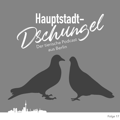 episode Berliner Stadttauben artwork