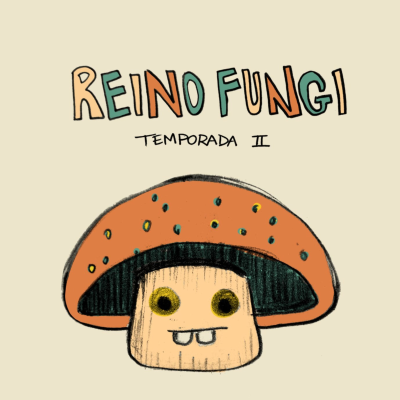 Reino Fungi u Hongo