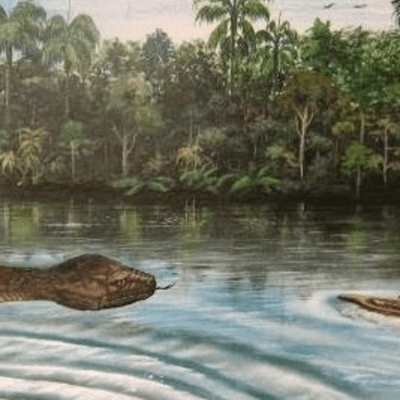 episode LEYENDAS POPULARES DE LA SELVA: YACUMAMA artwork