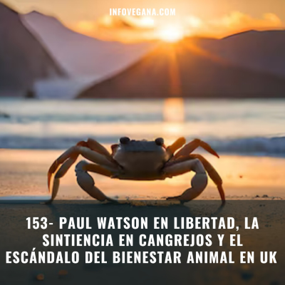 episode 153- PAUL WATSON EN LIBERTAD, LA SINTIENCIA EN CANGREJOS Y EL ESCÁNDALO DEL BIENESTAR ANIMAL EN UK | Infovegana artwork