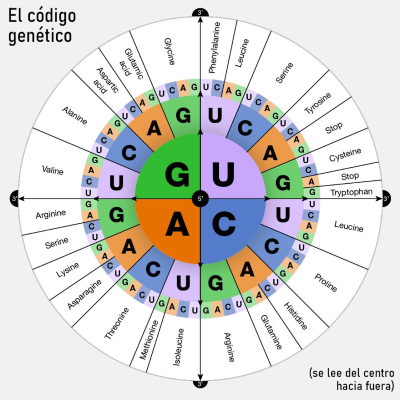 episode La Brújula de la Ciencia s15e06: El código genético, un diccionario para el ADN artwork