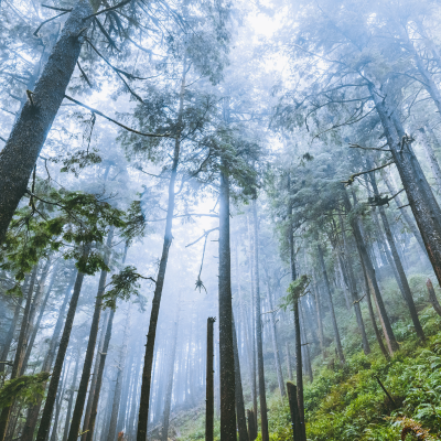 episode There Are Monsters artwork