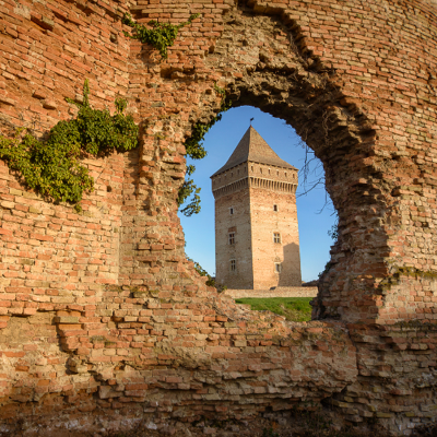 episode #240 Svetlana Dingarac iliti kako zaštititi naše tvrđave od zaborava artwork