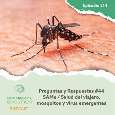 episode 214 - P&R48 - SAMe y metilación / Salud del viajero, mosquitos y virus emergentes - Episodio exclusivo para mecenas artwork