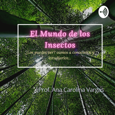 El Mundo de los Insectos