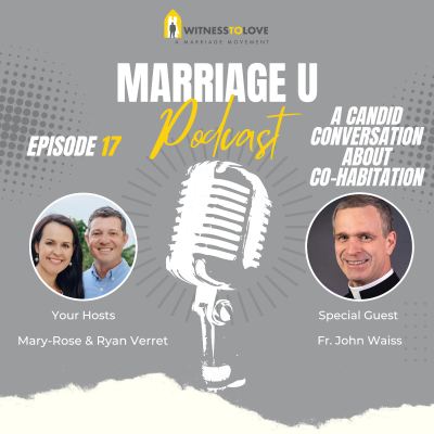 episode A Candid Conversation about Cohabitation with Fr. John Waiss artwork