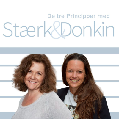 episode 80. De Tre Principper - Noget om gode råd artwork