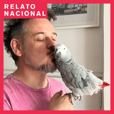 episode 49. El porqué Rita se enamoró de Rodrigo artwork