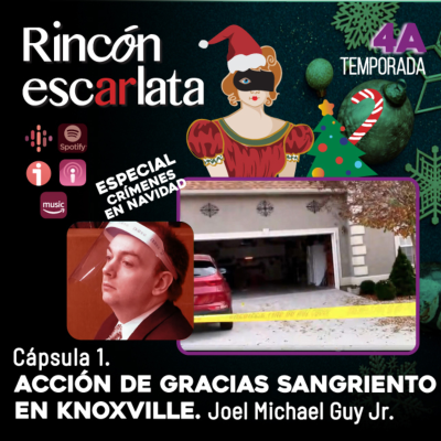 episode Acción de Gracias sangriento en Knoxville - Joel Michael Guy Jr. artwork