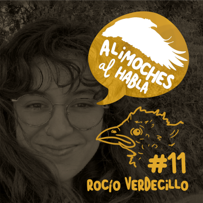 episode Bandido, normal y chulapo, con Rocío Verdecillo #11 artwork