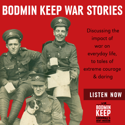 episode Mental Health and the Military artwork