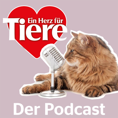 episode Episode 95: Was wir von Katzen lernen können artwork
