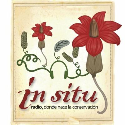 Billede af showet In Situ Radio