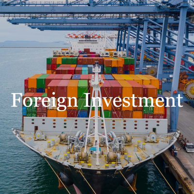 episode Five years with the Spanish FI regime: An interview with the Deputy Head of Unit for Foreign Investments, Santiago Conde Lara // Foreign Investment artwork