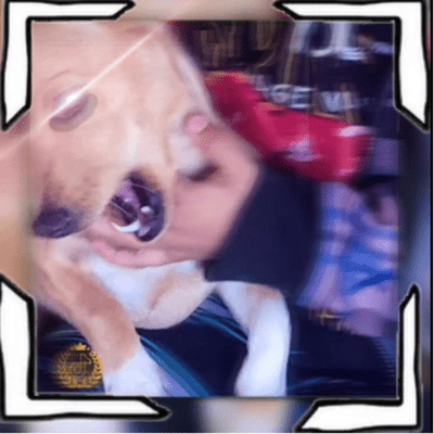 episode Gasolina Single artwork