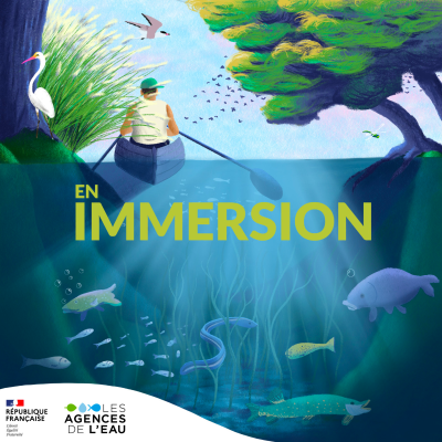 En immersion
