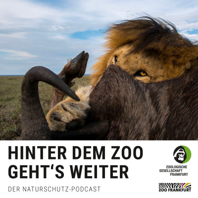 episode Fressen und gefressen werden: Wie Tierpopulationen gesund bleiben artwork