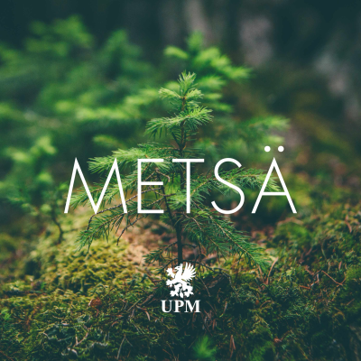 Metsä