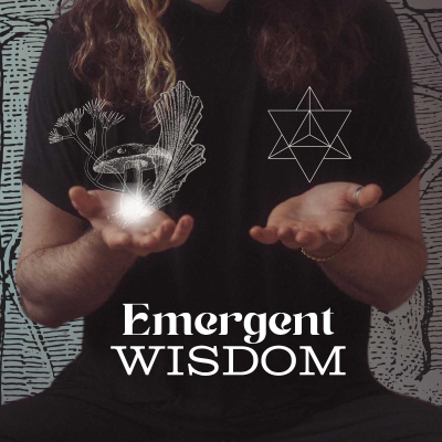 Emergent Wisdom